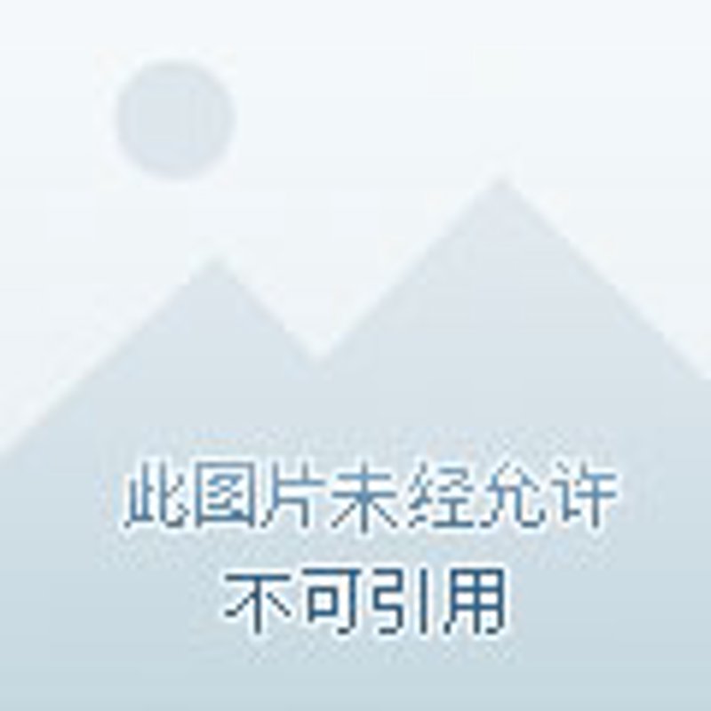 平安人寿保险